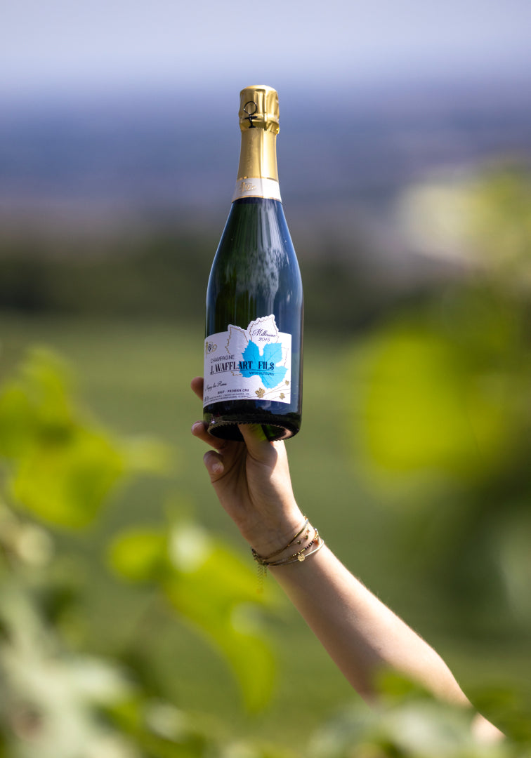 Champagne Millésimé 2016