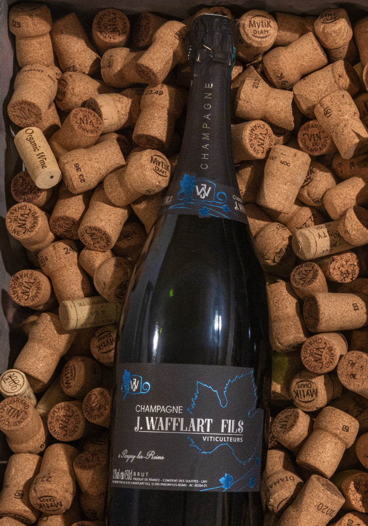 Champagne Brut Magnum