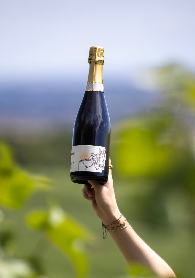 Vieilles Vignes millésime 2018