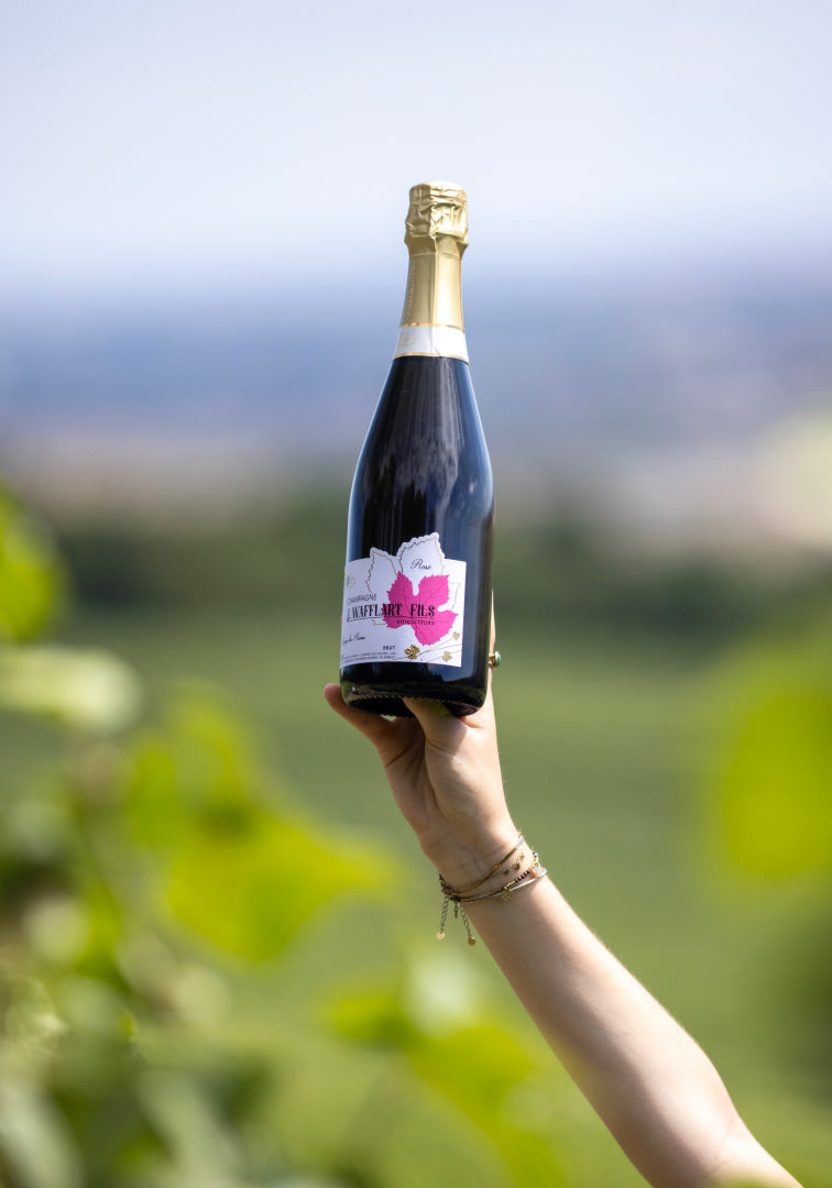 Champagne Rosé